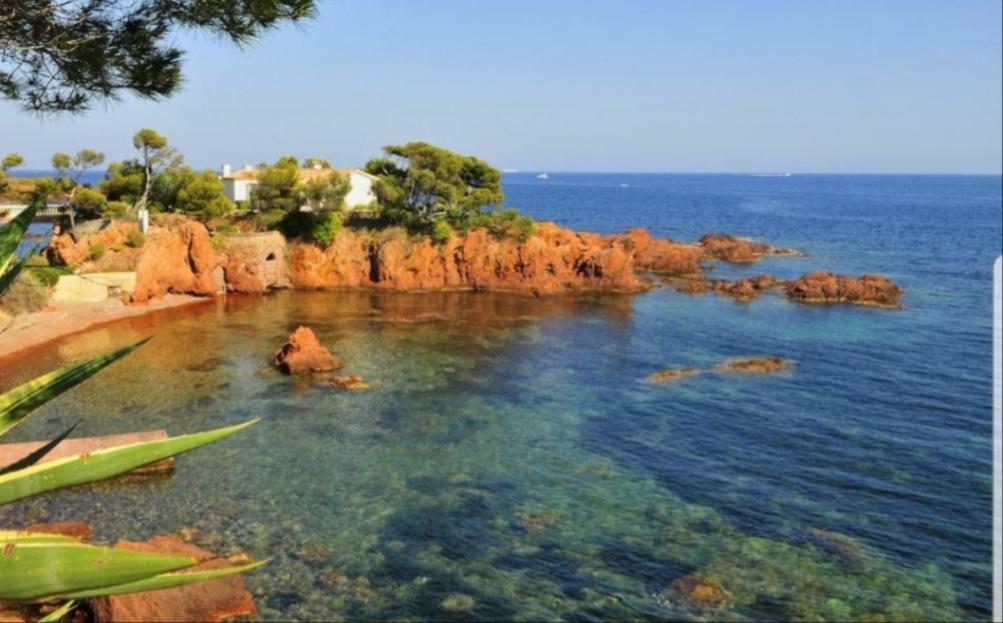 A La Devino Apartment Frejus